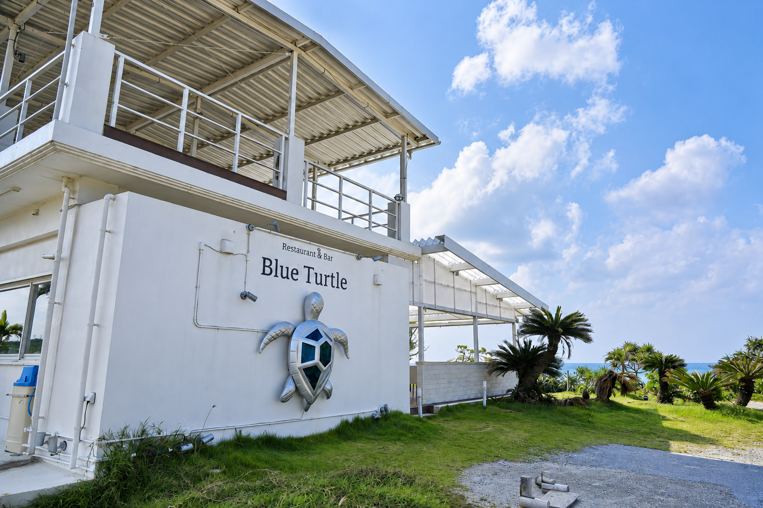Blue Turtle